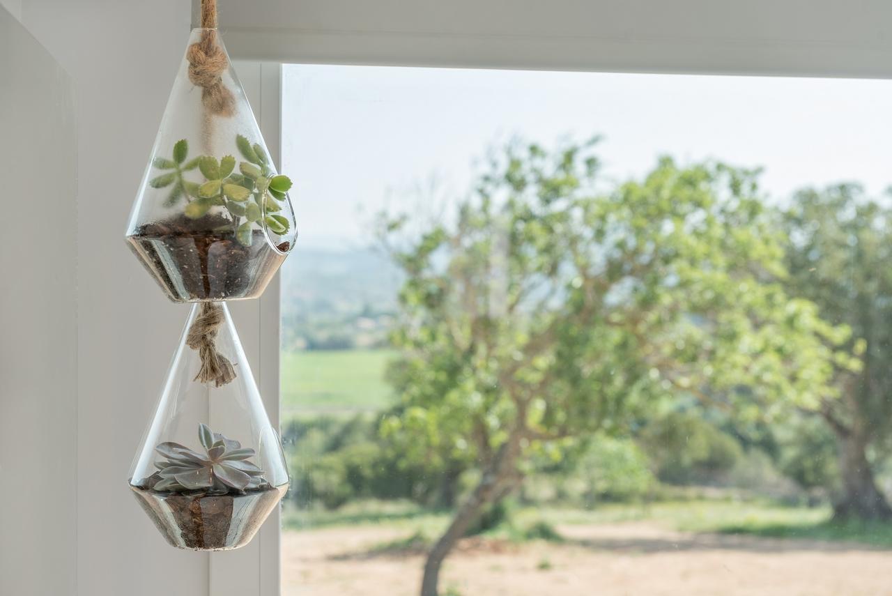 Cas Cabo Nou Agroturismo Adults Only Sant Llorenc Des Cardassar Εξωτερικό φωτογραφία